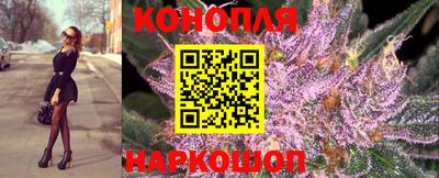 дурь Гай