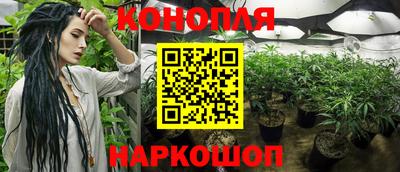 ПСИЛОЦИБИНОВЫЕ ГРИБЫ Гатчина
